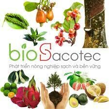CÔNG TY CỔ PHẦN ĐẦU TƯ CÔNG NGHỆ SẠCH BIOSACOTEC 4