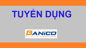 KỸ NGHỆ BANICO 7