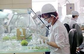 CÔNG TY TNHH SINH HỌC NÔNG NGHIỆP RỒNG VÀNG 1