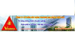 Xây Dựng Thương Mại Delta Việt Nam 9