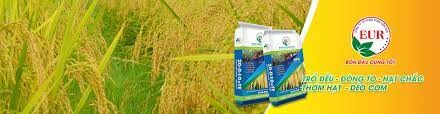 Công Ty Cổ Phần Phân Bón Eur 7