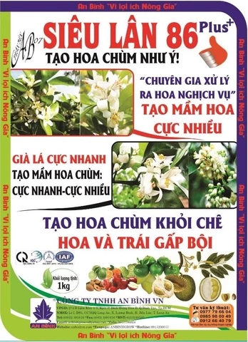 AN BÌNH VN 4