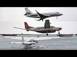 Hàng Không Hải Âu 2