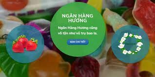 Công Ty TNHH Một Thành Viên VCAF 9
