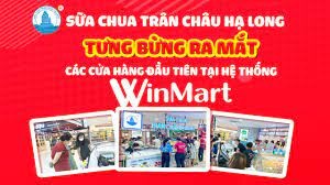 Sữa chua Trân châu Hạ Long 8
