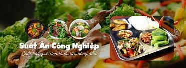 Công Ty TNHH Một Thành Viên VCAF 5