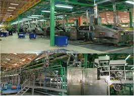 TBC-Ball Việt Nam 5