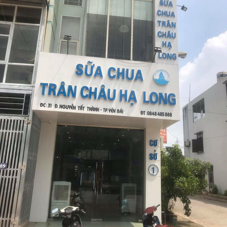 Sữa chua Trân châu Hạ Long 1