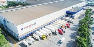 Công Ty TNHH Emergent Cold Việt Nam 4