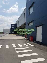 CAVARIA VIỆT NAM 9