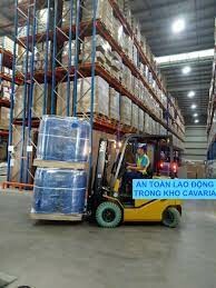 CAVARIA VIỆT NAM 4