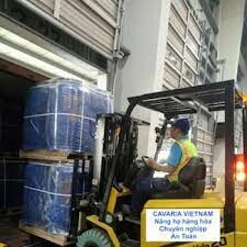 CAVARIA VIỆT NAM 3