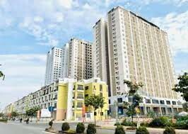 TƯ VẤN ĐẦU TƯ CIR VIỆT NAM 3