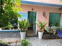 CAVARIA VIỆT NAM 1