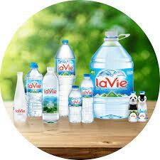 La Vie Limited Liability Company 9