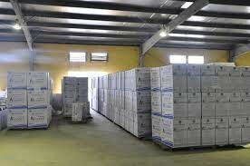 Việt Dũng Sài Gòn 8