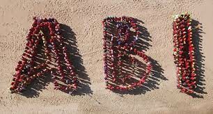 AB INBEV VIỆT NAM 3