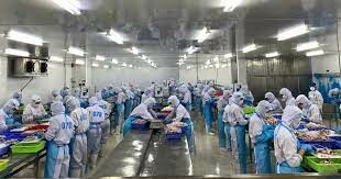 Thực Phẩm VIỆT 1