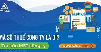RENOVA VIỆT NAM 2