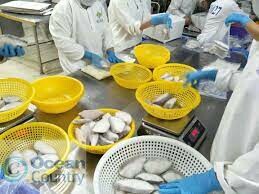 CÔNG TY TNHH THƯƠNG MẠI THỦY SẢN OCEAN COUNTRY 9