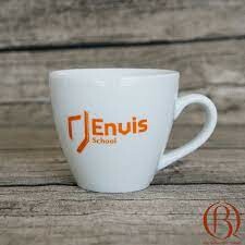 Trường Anh ngữ ENVIS School 9