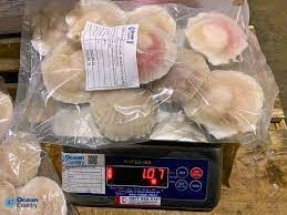 CÔNG TY TNHH THƯƠNG MẠI THỦY SẢN OCEAN COUNTRY 10