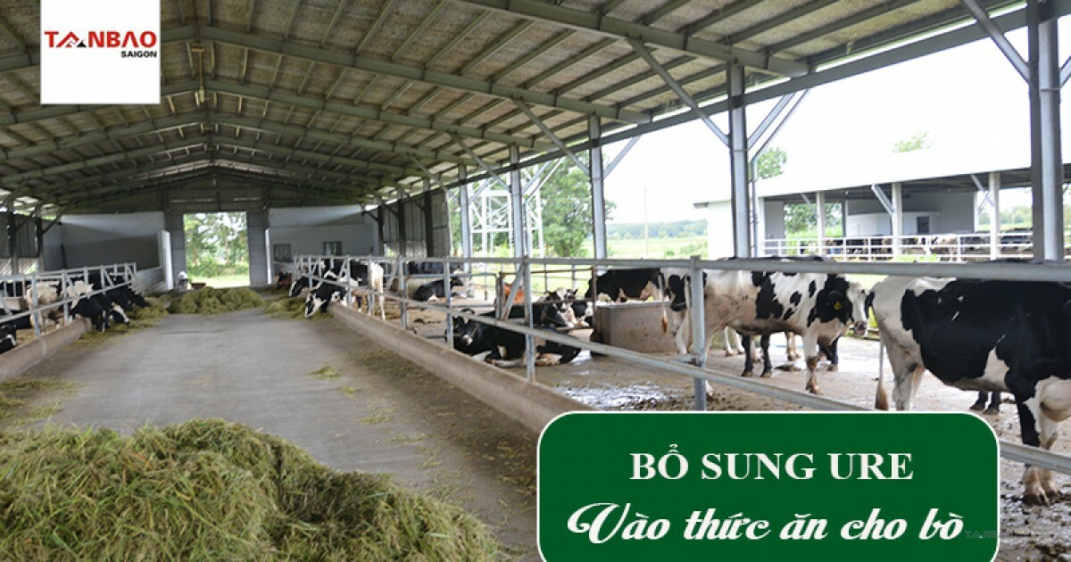 CÔNG TY CỔ PHẦN TÂN BẢO SÀI GÒN 9