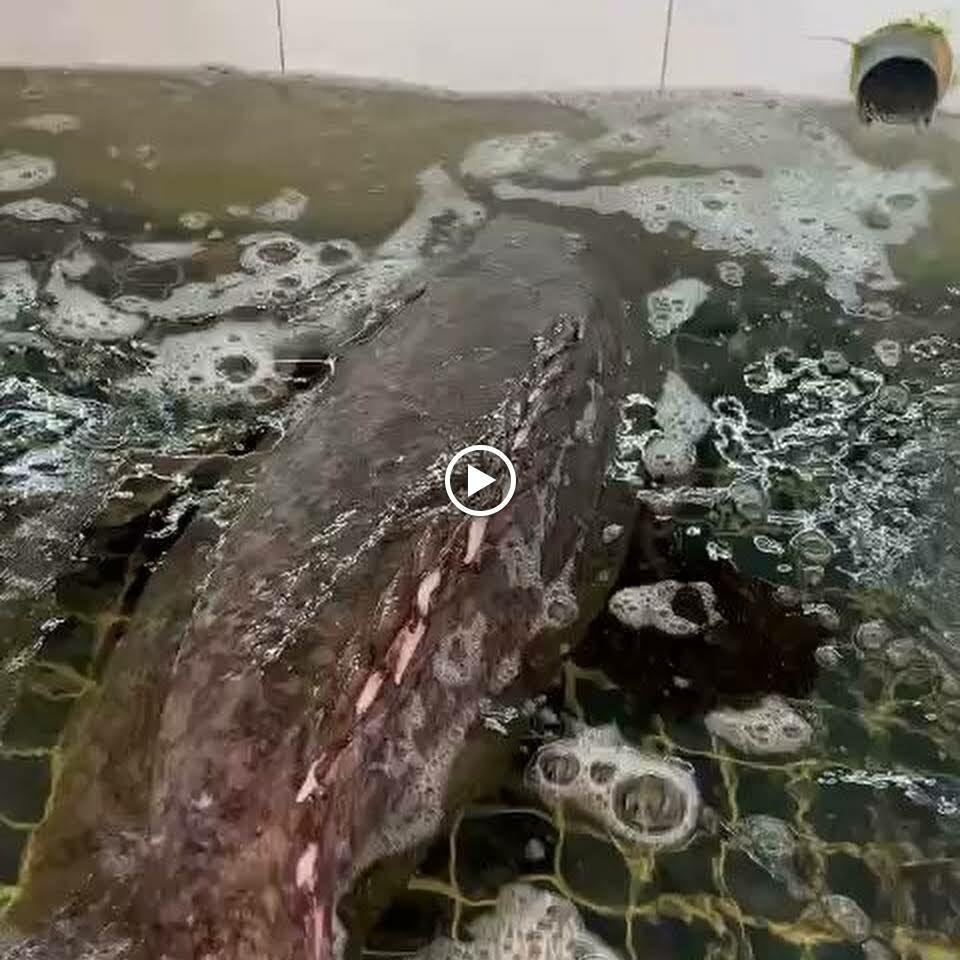 SKY36 - Nhà hàng Hải Cảng 8