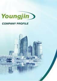 Công Ty TNHH Youngjin E&C Vina 2