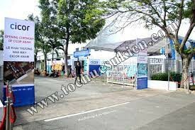 CICOR VIỆT NAM 8