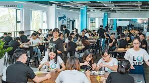 PARADOX VIỆT NAM 8