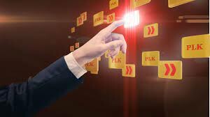 PO LAI KAM (VIỆT NAM) 9