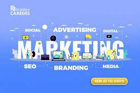 Stradex Việt Nam 5