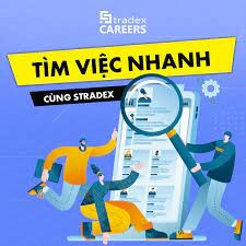 Stradex Việt Nam 7