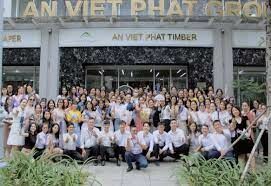 AN VIET PHAT ENERGY 8