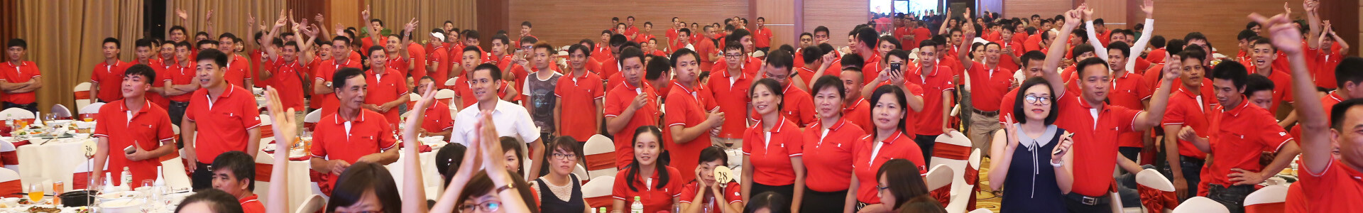 Nhựa Gỗ Châu Âu - EUP 10