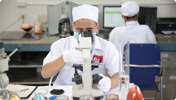 Nhựa Gỗ Châu Âu - EUP 8