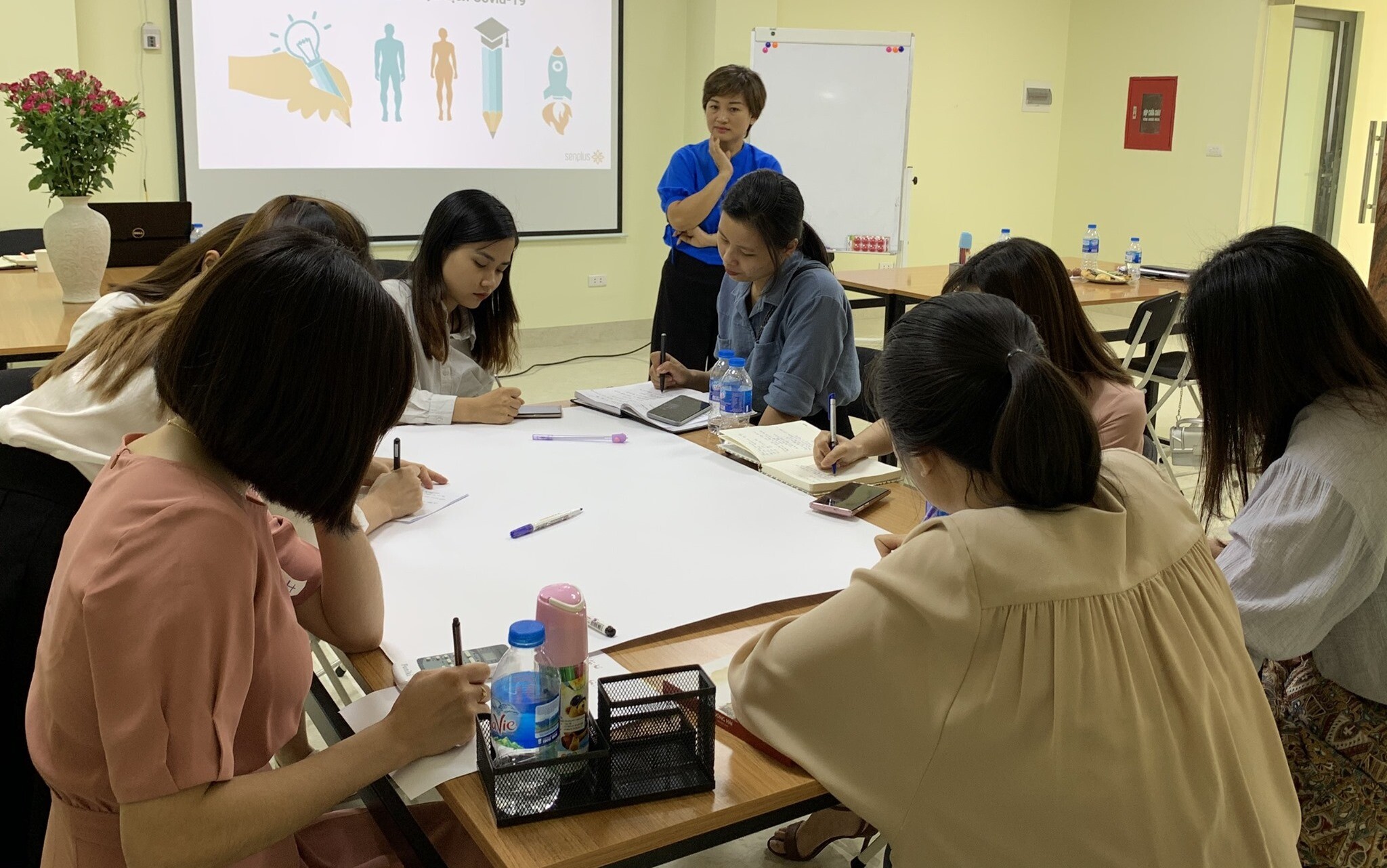 SEN CỘNG - SENPLUS 3