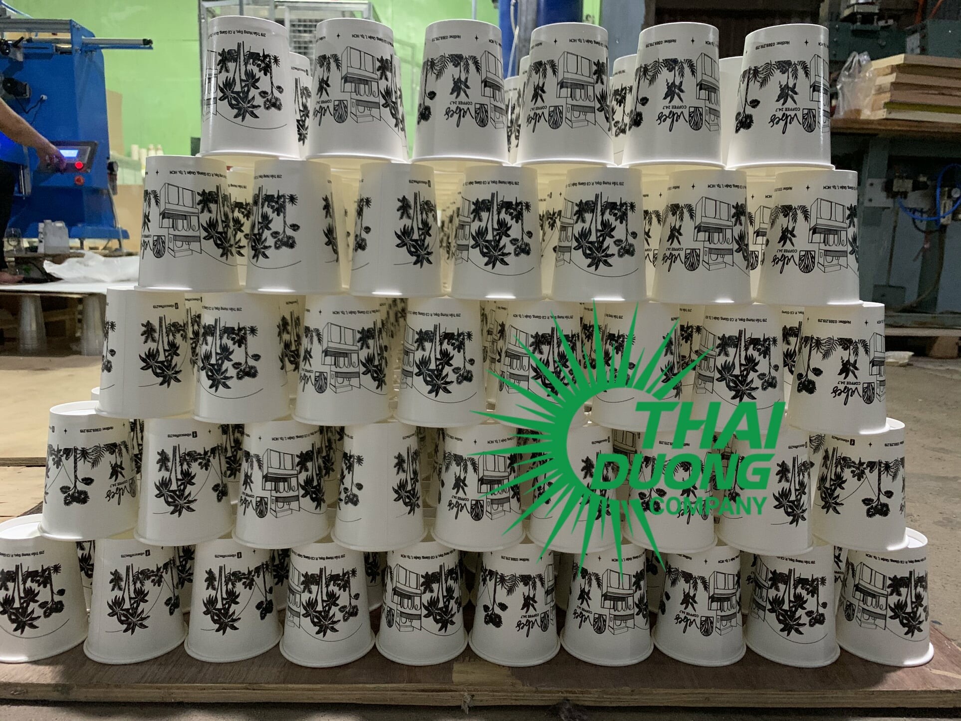 XUẤT NHẬP KHẨU THÁI DƯƠNG 1