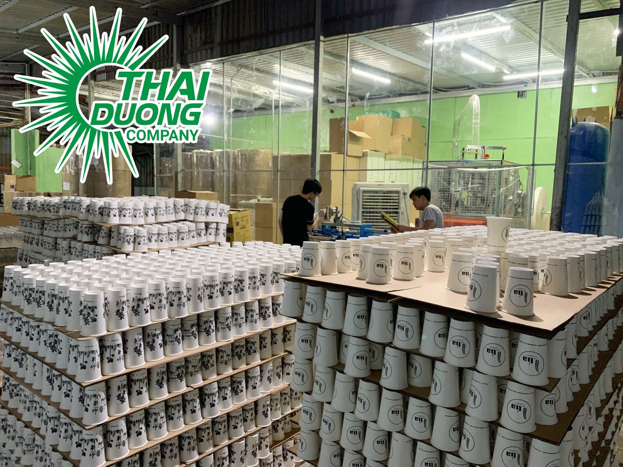 XUẤT NHẬP KHẨU THÁI DƯƠNG 4