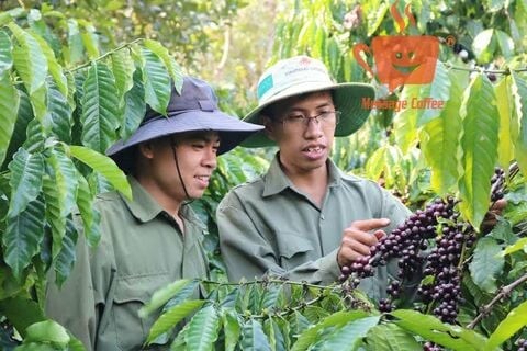 Thương mại đầu tư DATHACO 10