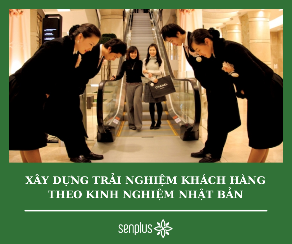 SEN CỘNG - SENPLUS 7