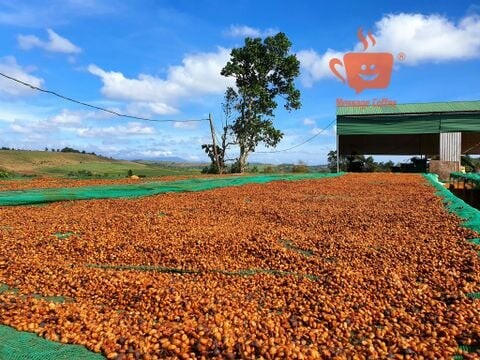 Thương mại đầu tư DATHACO 9