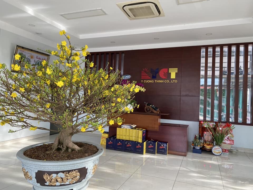 TM DV Ý CƯỜNG THỊNH 7