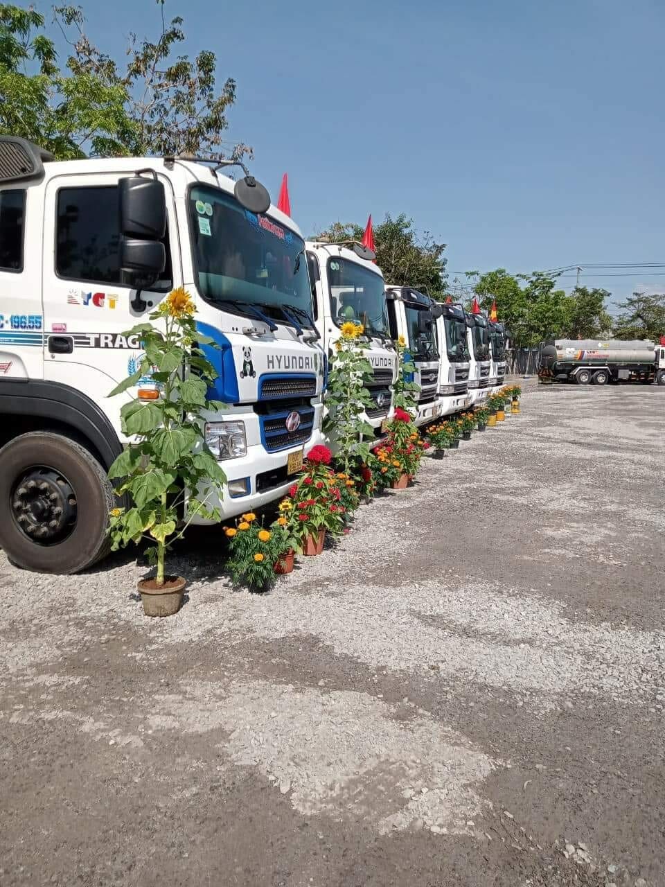 TM DV Ý CƯỜNG THỊNH 10