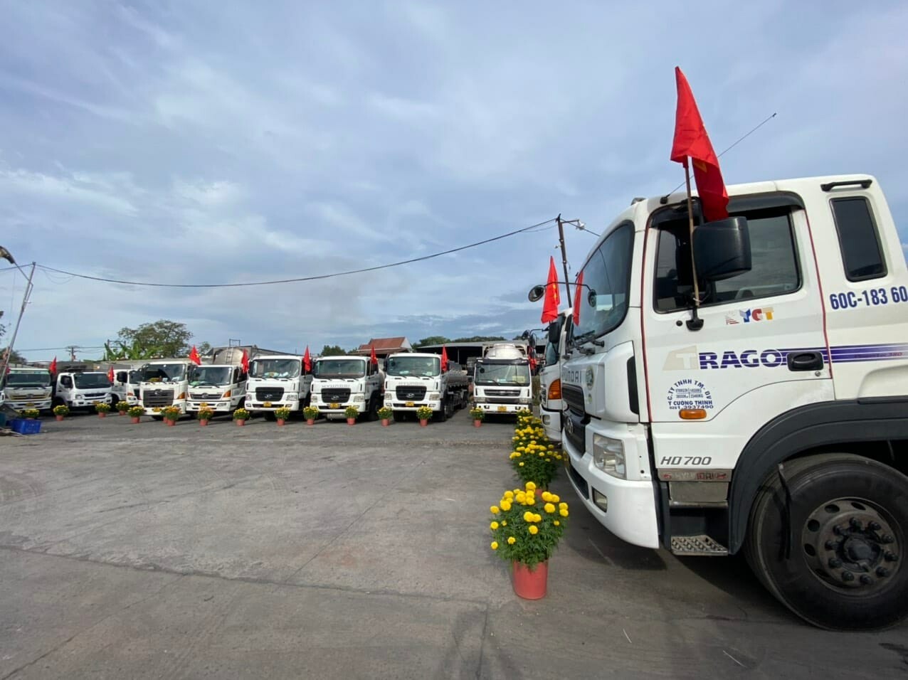 TM DV Ý CƯỜNG THỊNH 6