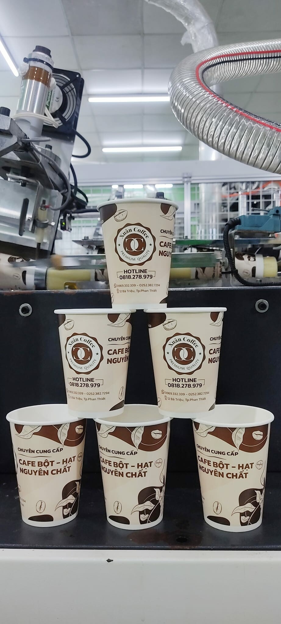 XUẤT NHẬP KHẨU THÁI DƯƠNG 6