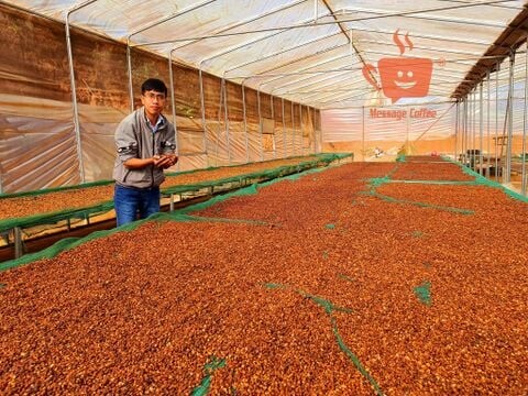 Thương mại đầu tư DATHACO 8