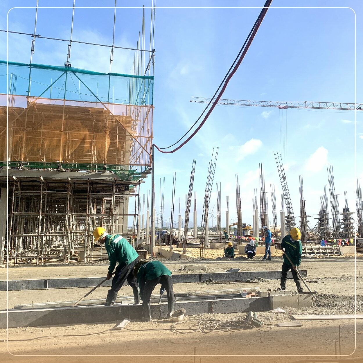 Tập đoàn LẠC VIỆT 7