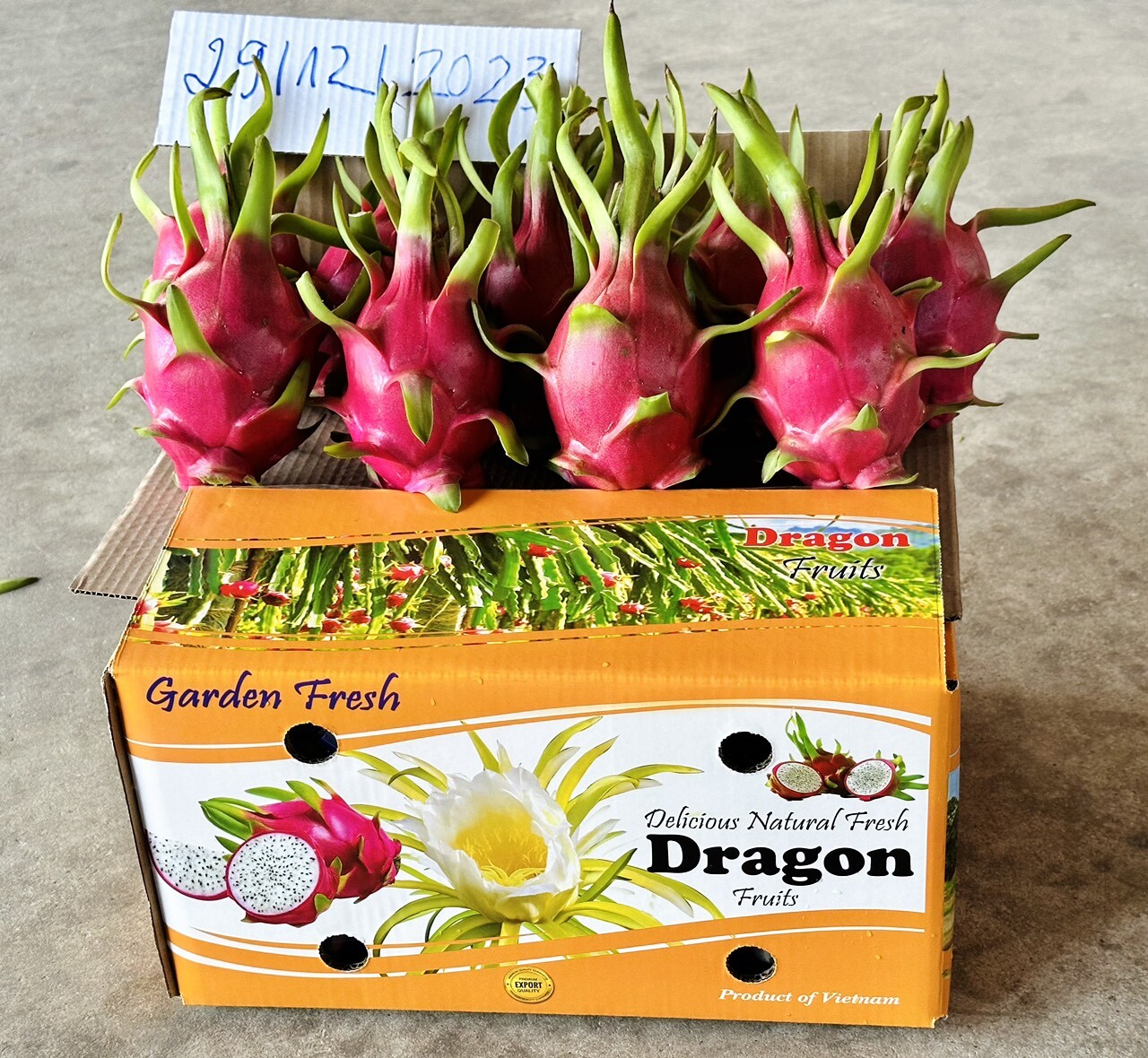 Logigate Supply Chain Solutions 5